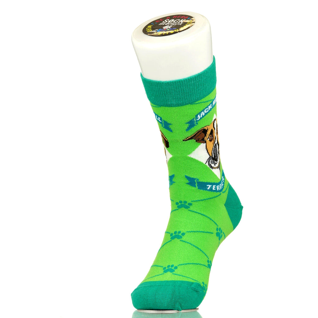 Jack Russell Terrier | Argyle Pups