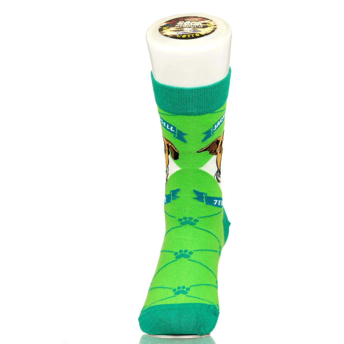 Jack Russell Terrier | Argyle Pups