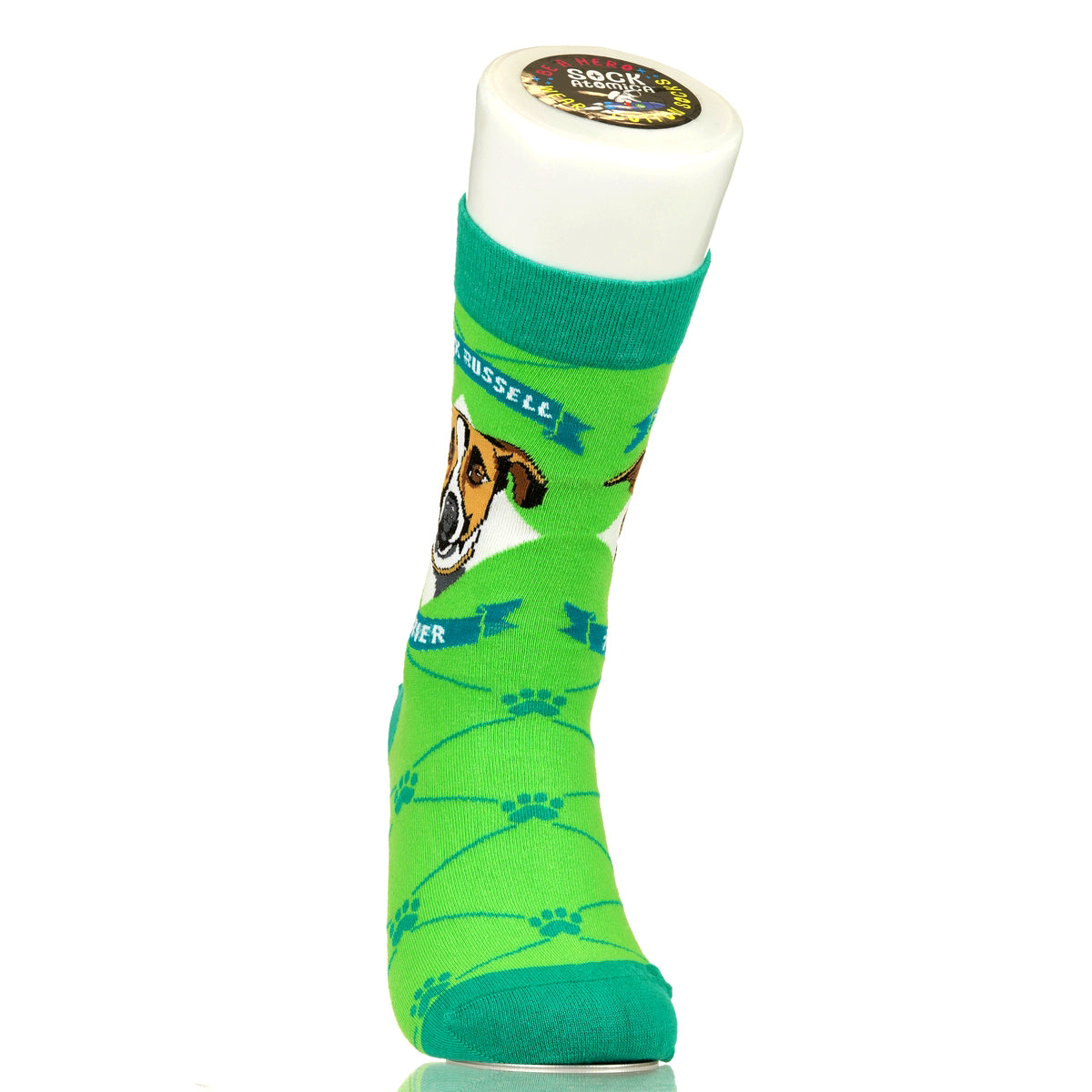 Jack Russell Terrier | Argyle Pups