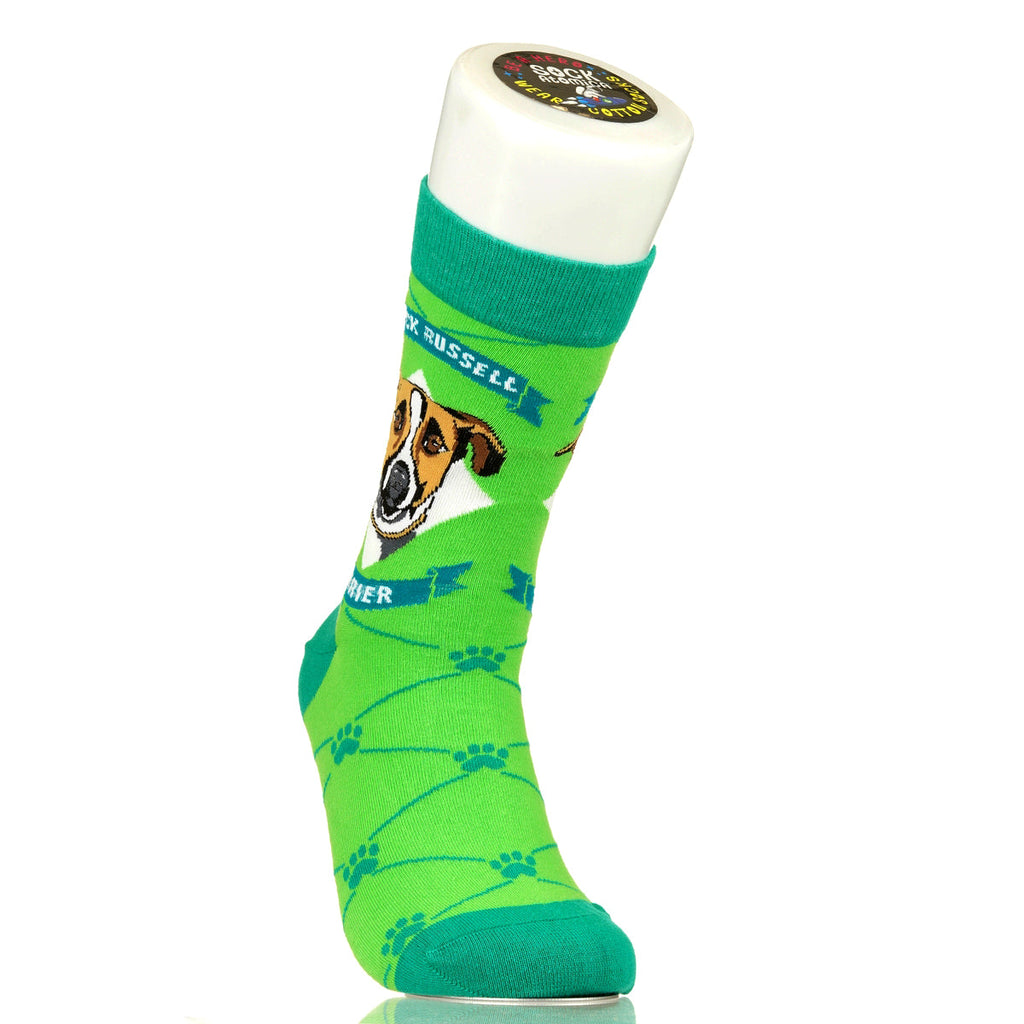 Jack Russell Terrier | Argyle Pups