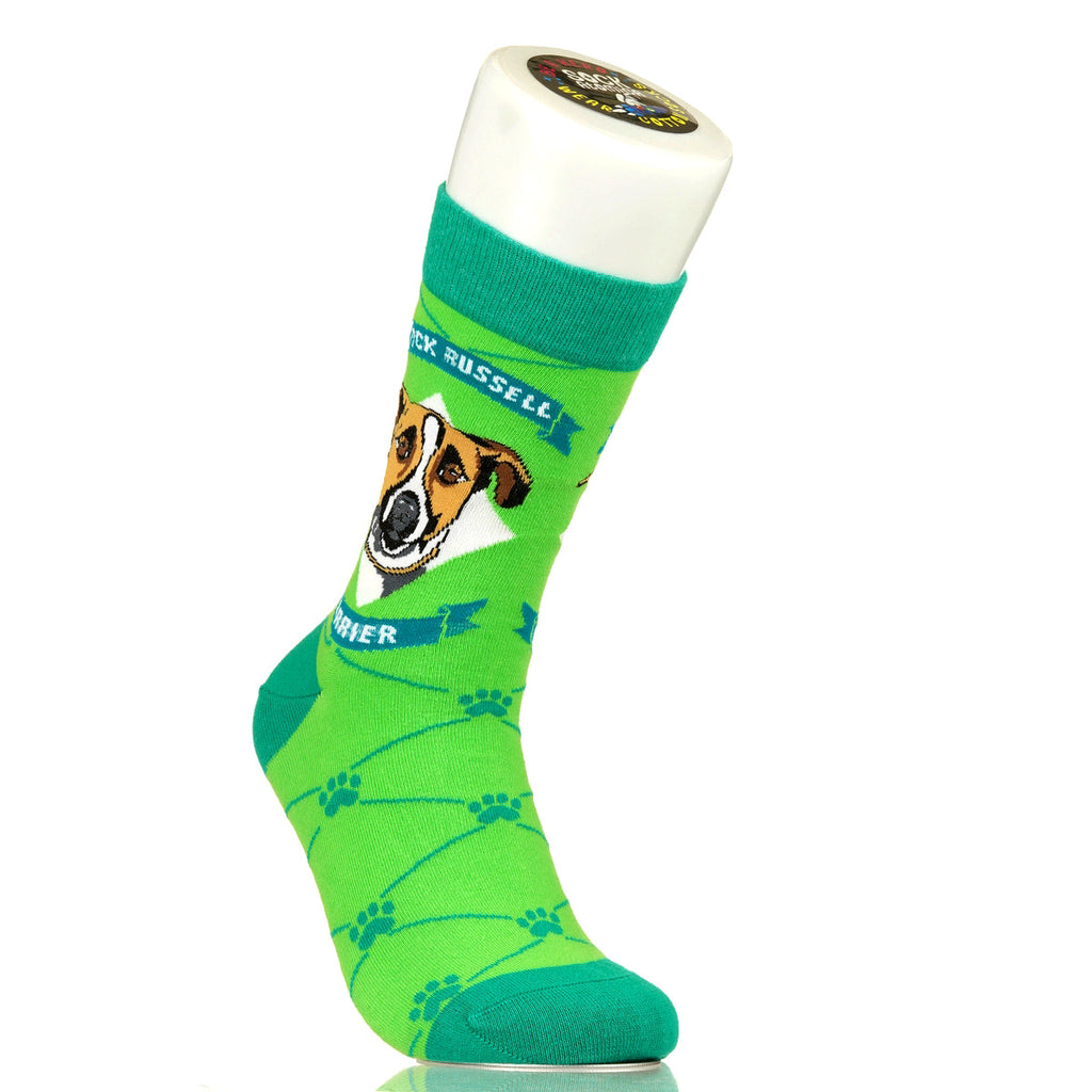 Jack Russell Terrier | Argyle Pups