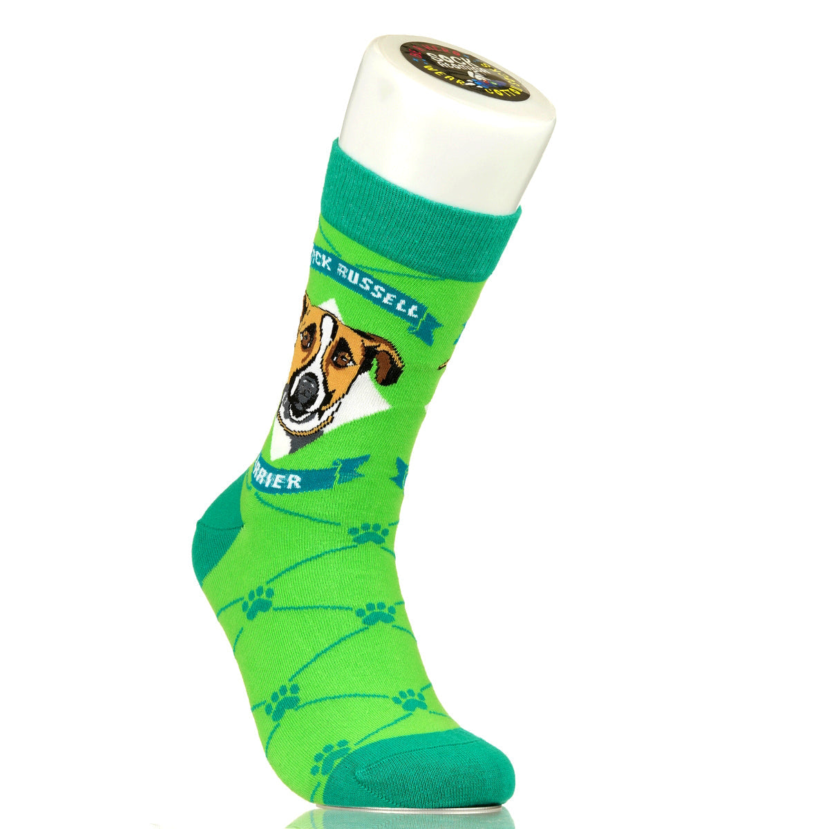 Jack Russell Terrier | Argyle Pups