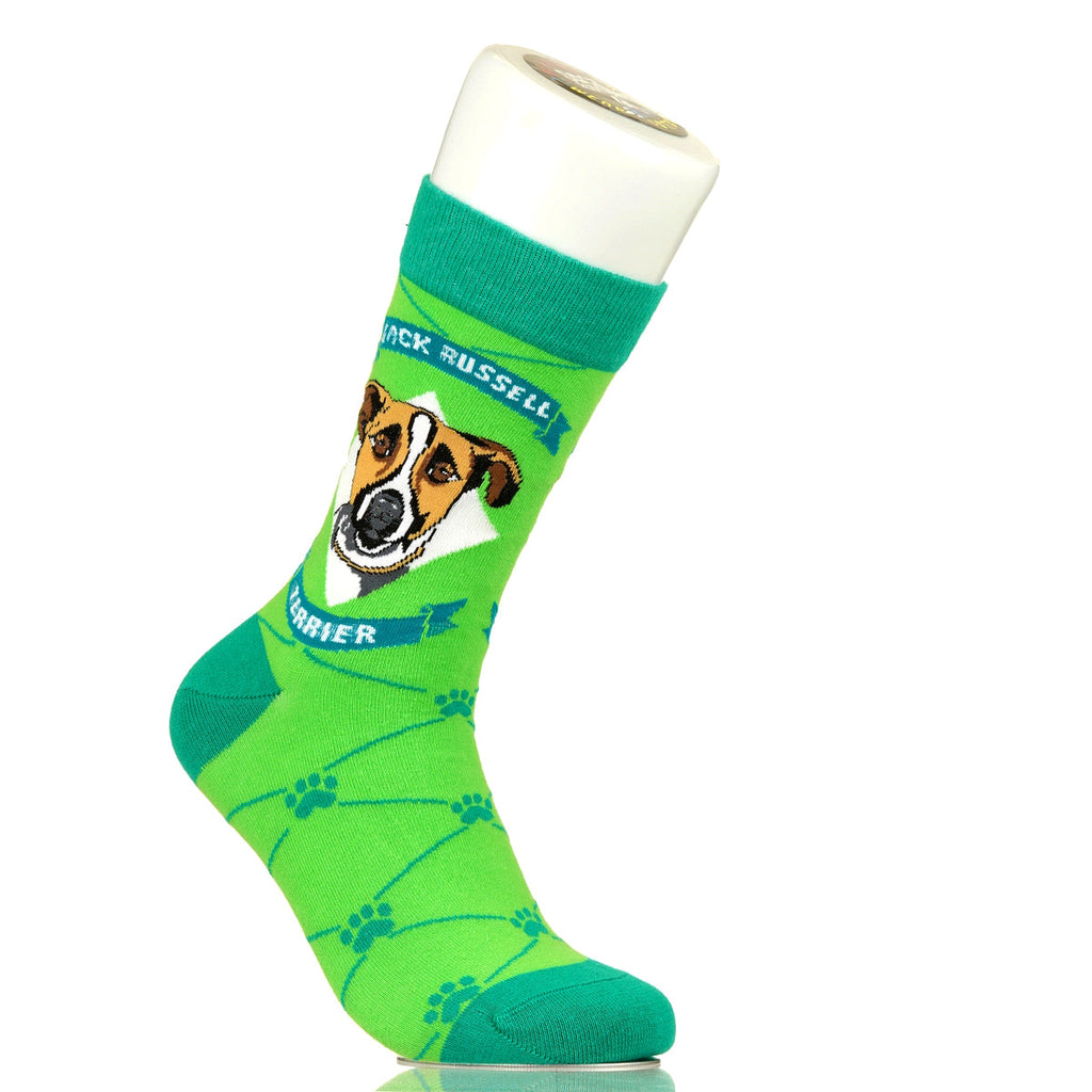 Jack Russell Terrier | Argyle Pups