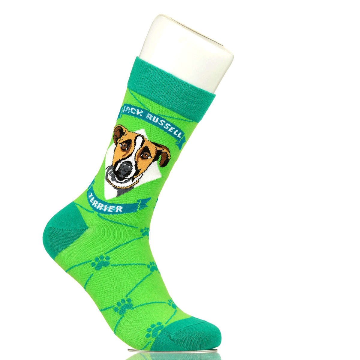 Jack Russell Terrier | Argyle Pups