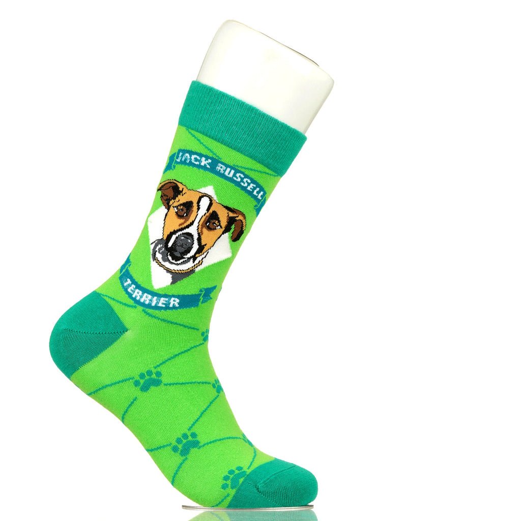 Jack Russell Terrier | Argyle Pups